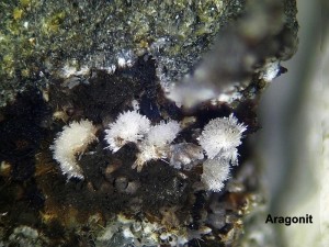 Photo 13 Aragonit.jpg