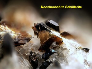 Photo 13 Noonkanbahite Schüllerite.jpg