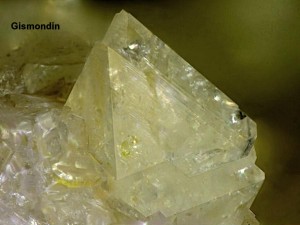 Photo 15 Gismondin.jpg