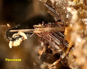 Photo 22 Perovskite Graulei.jpg