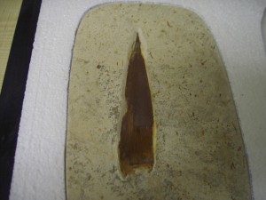 Photo Allemagne013.jpg