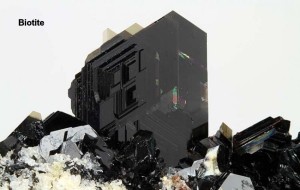 Photo Biotite.jpg