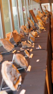 Photo Expo2010 (31).jpg