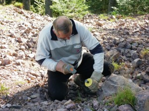 Photo ImageA (1).jpg