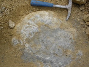 Photo MALANCOURT 57 28 LE 20 05 11.jpg