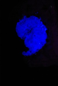 Photo MUSEE DE M THUSSEAUD 47.JPG