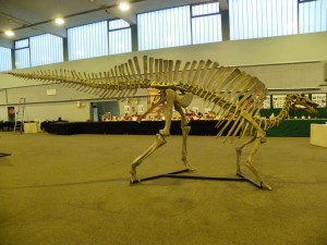 Photo Montage041.jpg