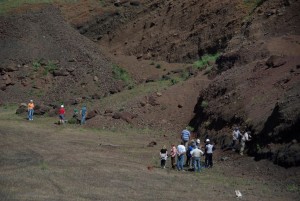 Photo Olivine (20).jpg