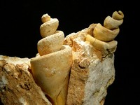 Bienvenue sur Geolor